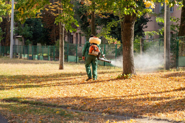 Best Residential Pest Control  in Gananda, NY
