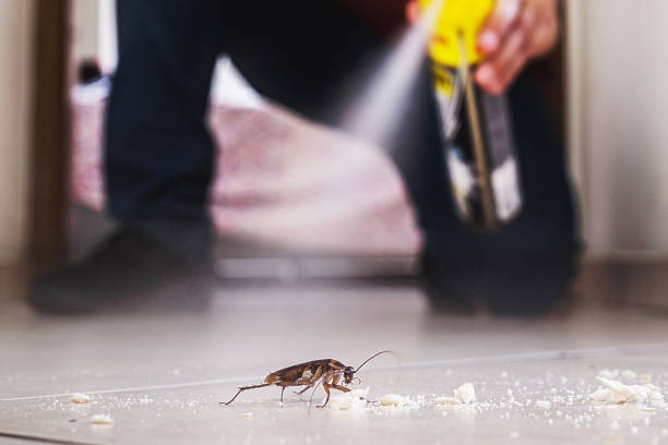 Pest Prevention Services in Gananda, NY